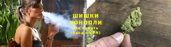 прущие грибы Бородино