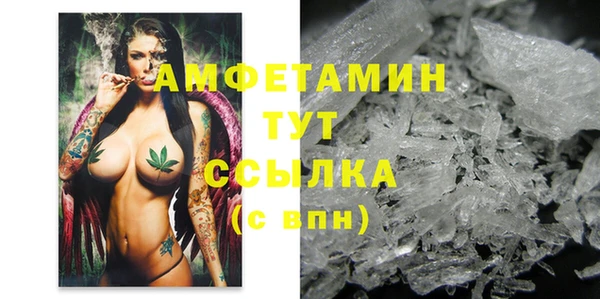 прущие грибы Бородино