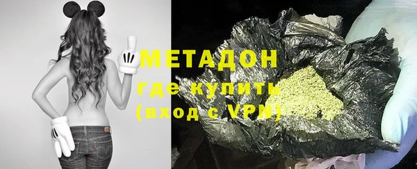 прущие грибы Бородино