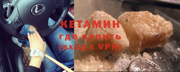 прущие грибы Бородино