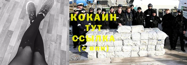 прущие грибы Бородино