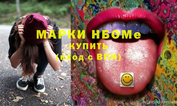прущие грибы Бородино