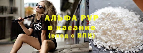 прущие грибы Бородино
