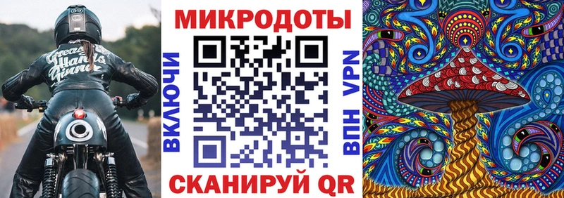 Галлюциногенные грибы Psilocybe  купить наркотик  Коркино 